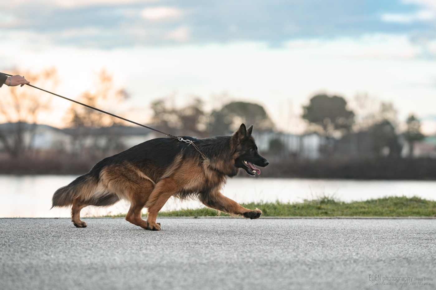 Publication : du Domaine de Milk