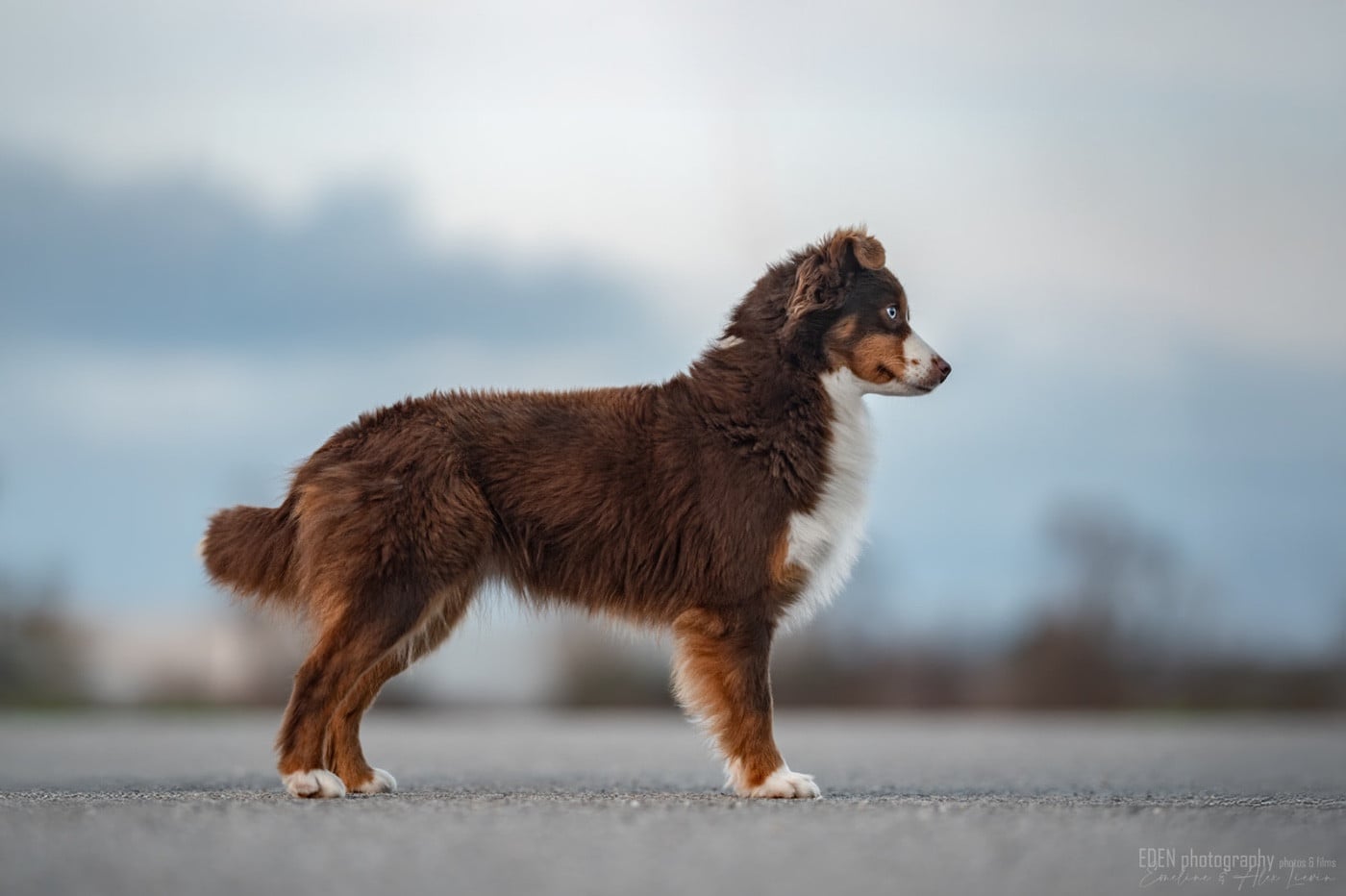 Publication : du Domaine de Milk