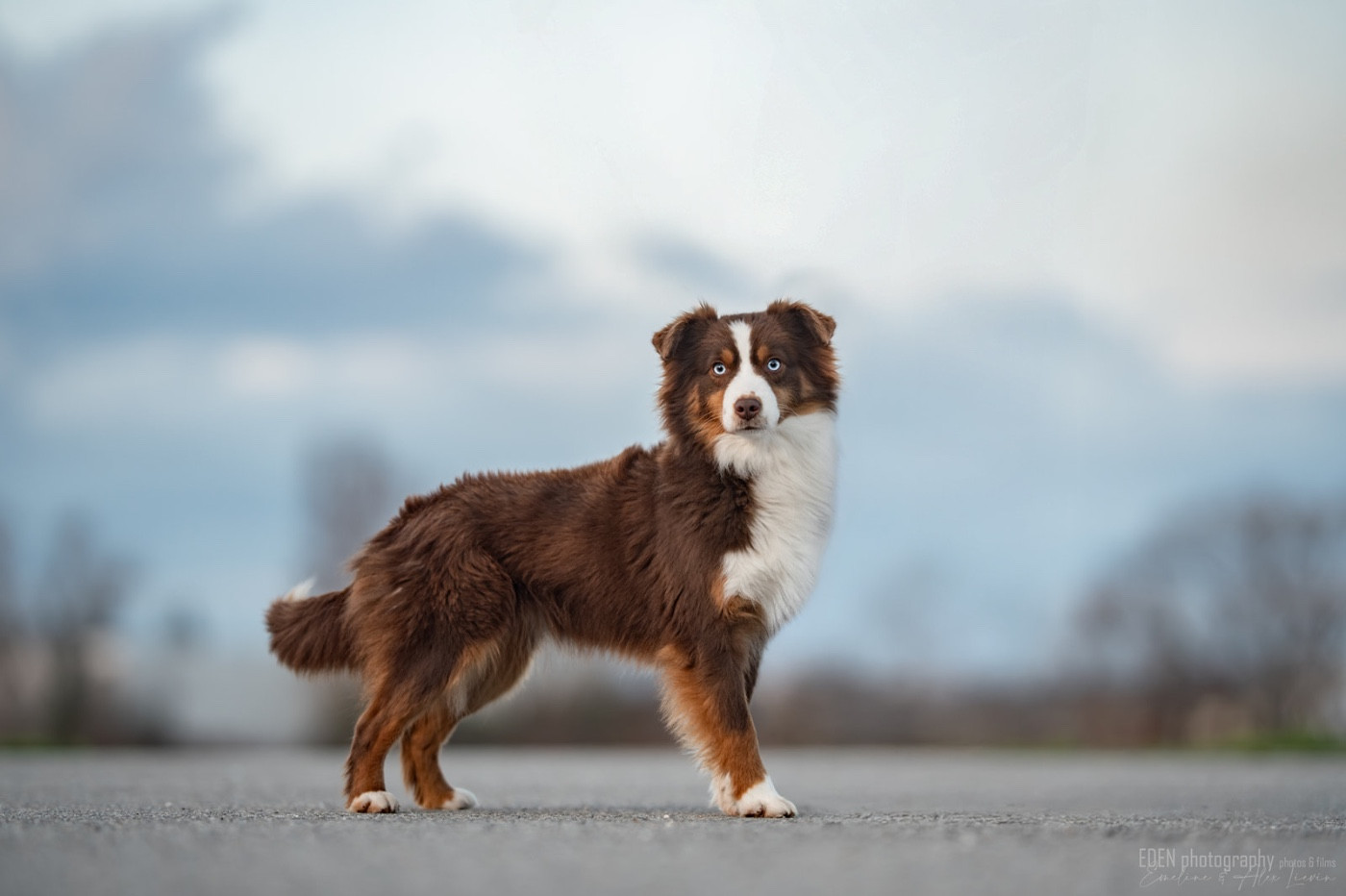 Publication : du Domaine de Milk