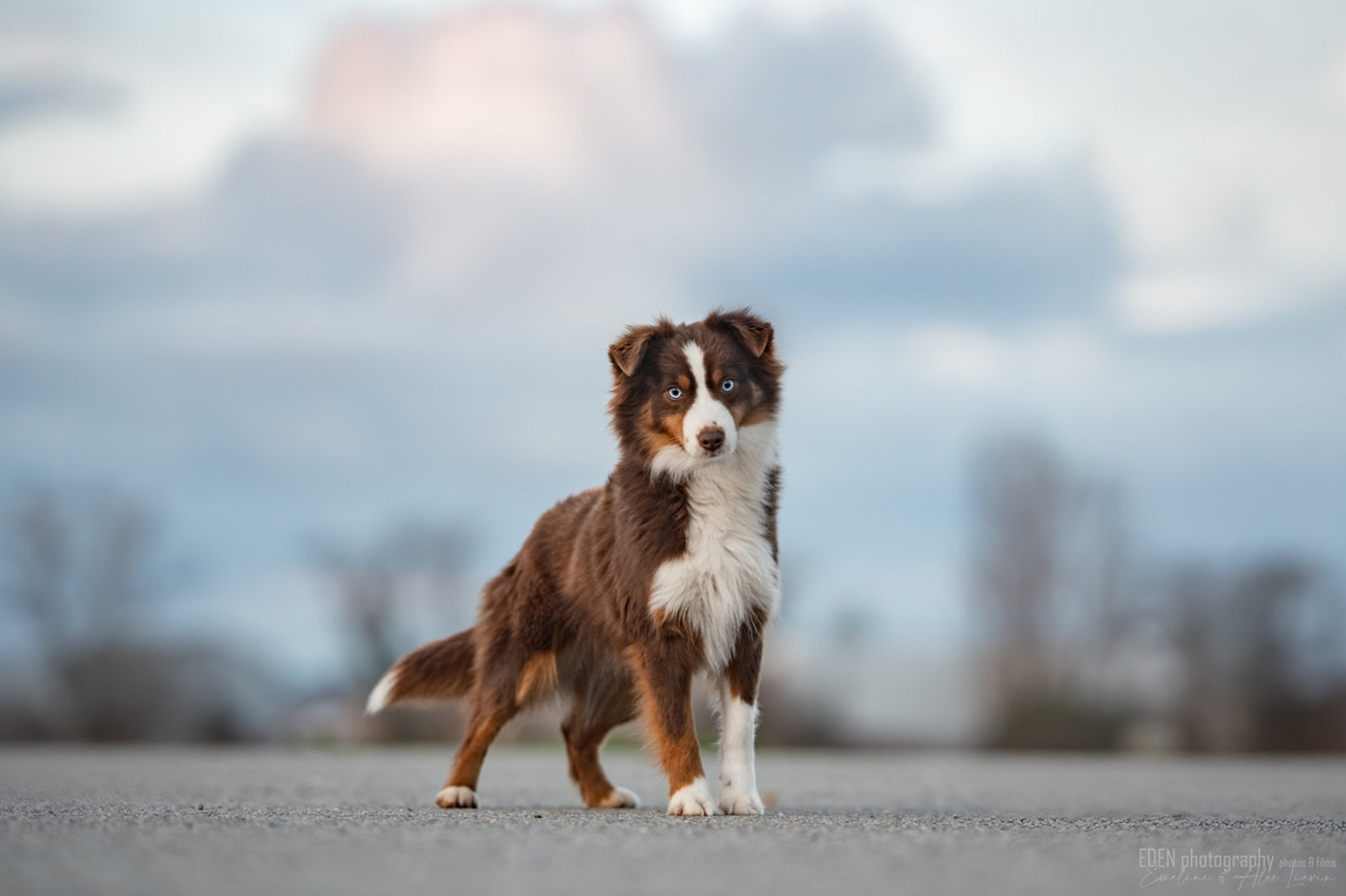 Publication : du Domaine de Milk