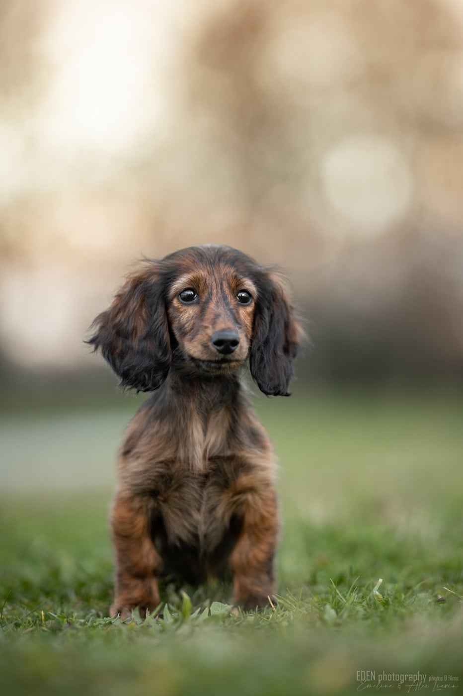 Publication : du Domaine de Milk