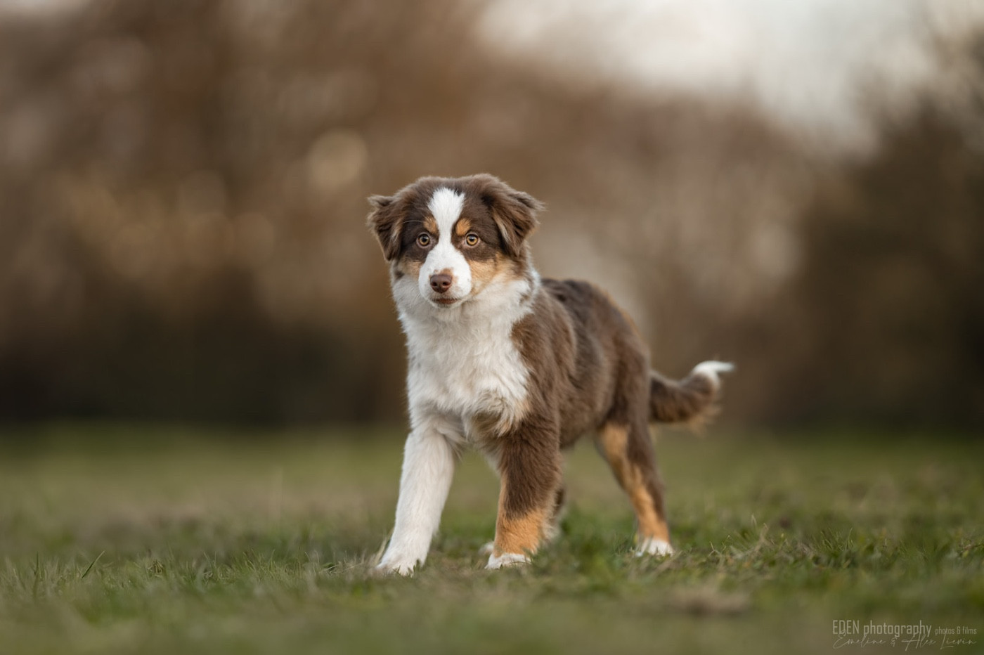 Publication : du Domaine de Milk