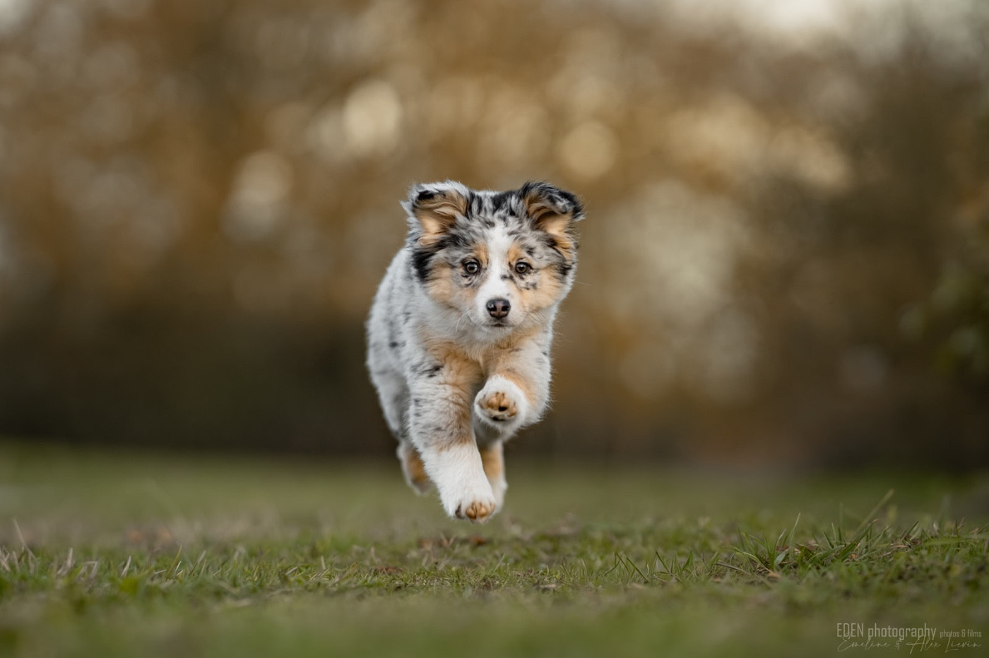 Publication : du Domaine de Milk