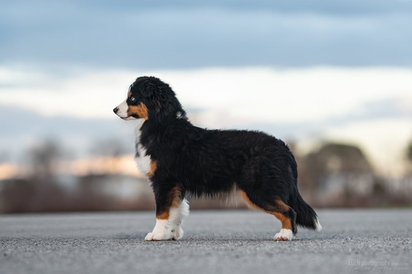 Publication : du Domaine de Milk