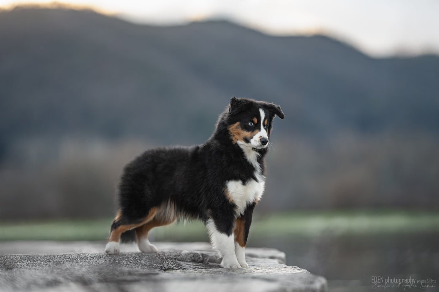 Publication : du Domaine de Milk