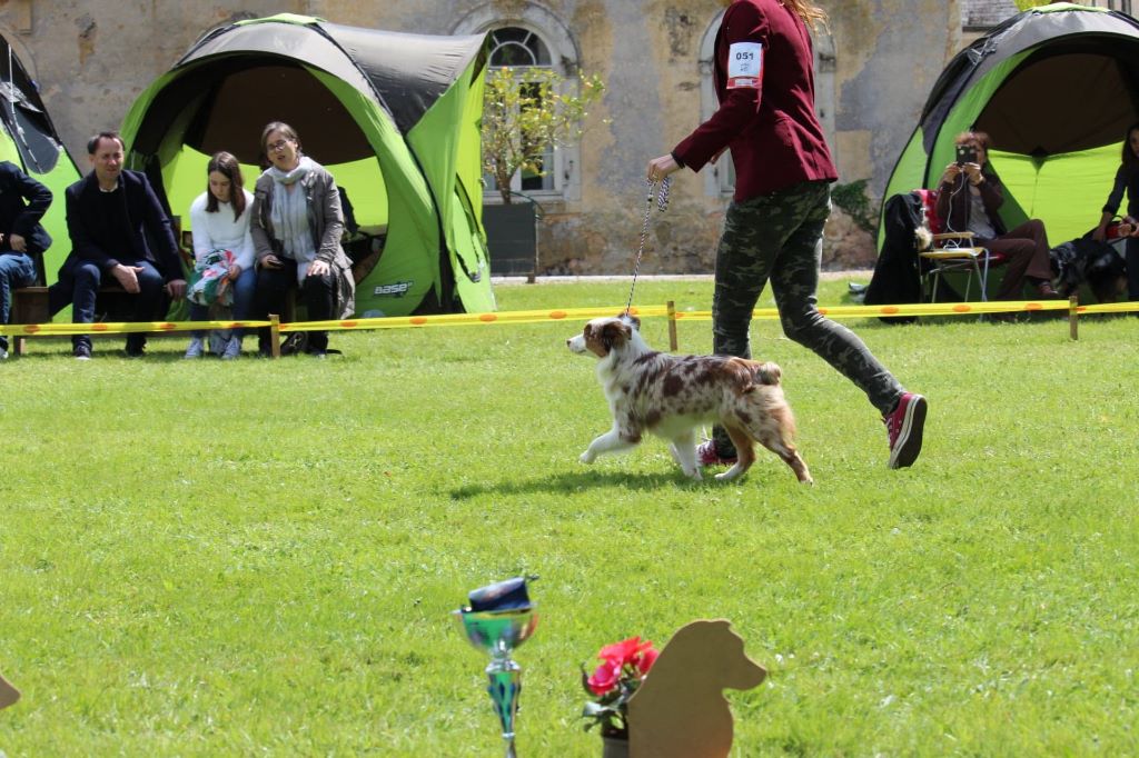 Ohana guerriere rouge Des Rêves Indiens