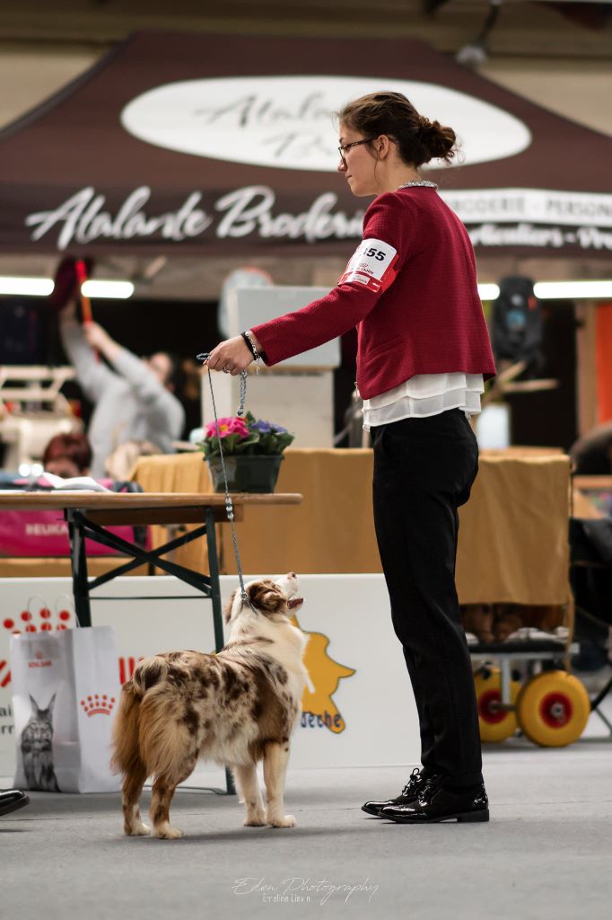 Ohana guerriere rouge Des Rêves Indiens