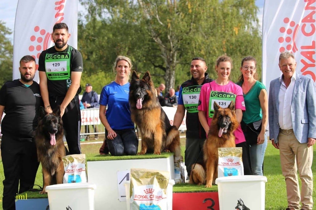 Volt des contes de Gwelane