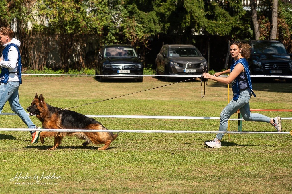 Volt des contes de Gwelane