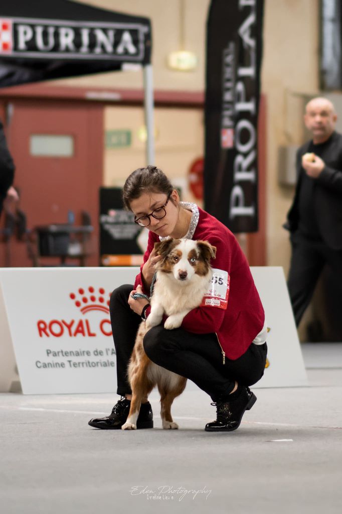Ohana guerriere rouge Des Rêves Indiens
