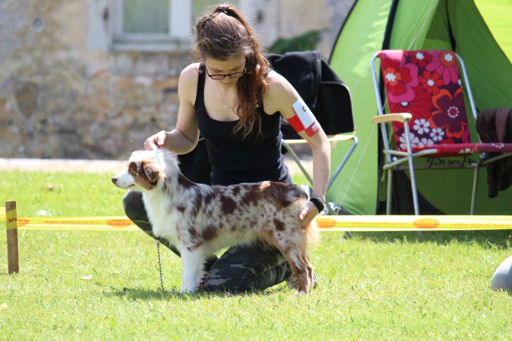 Ohana guerriere rouge Des Rêves Indiens