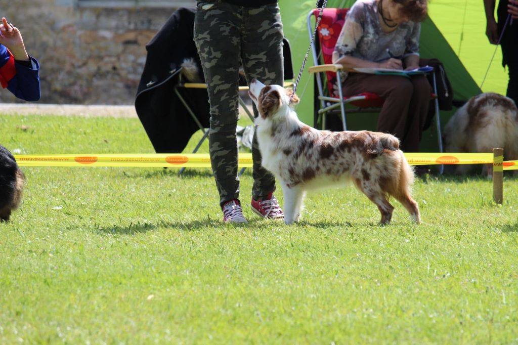 Ohana guerriere rouge Des Rêves Indiens