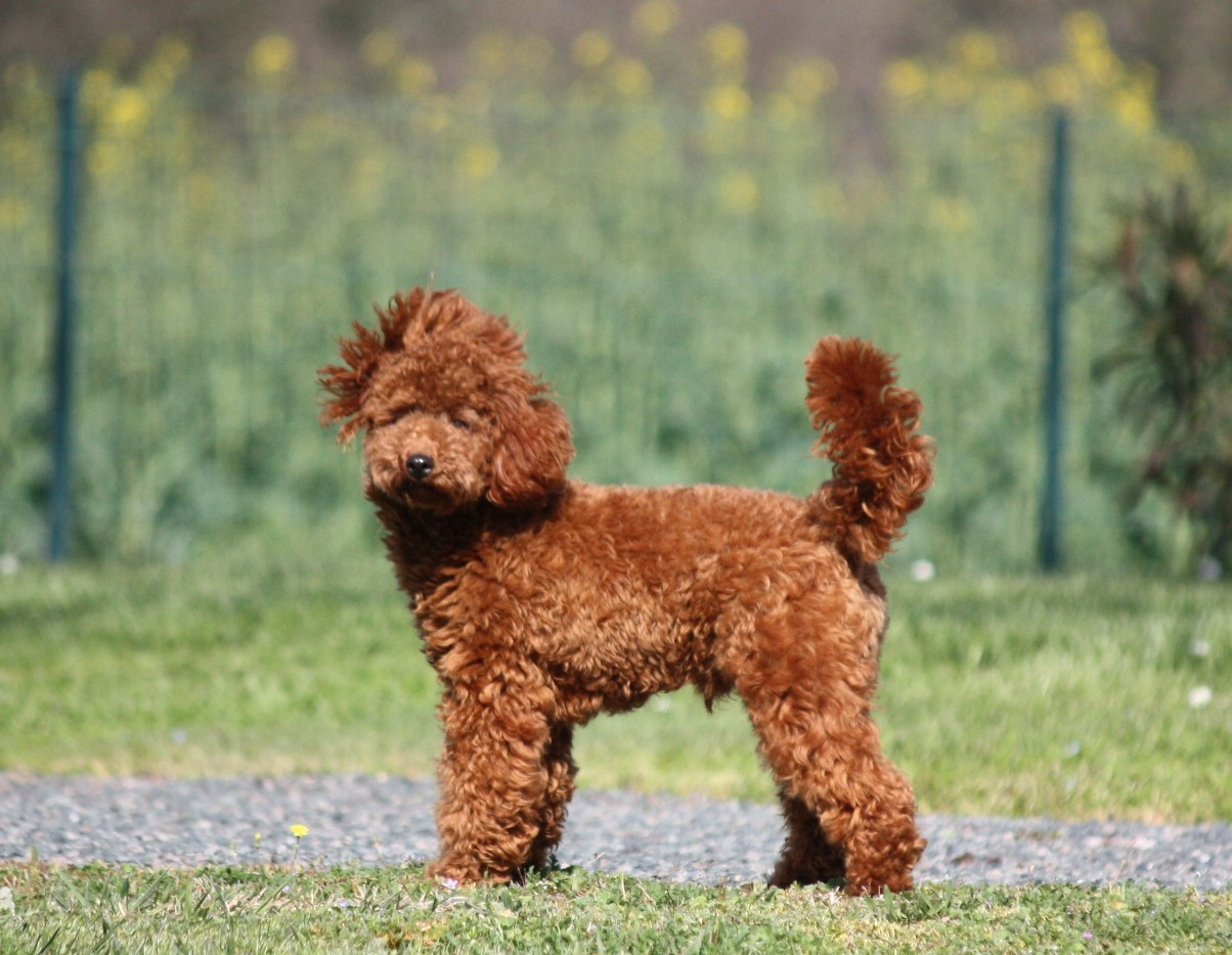 Azzaro legend De zaldivar