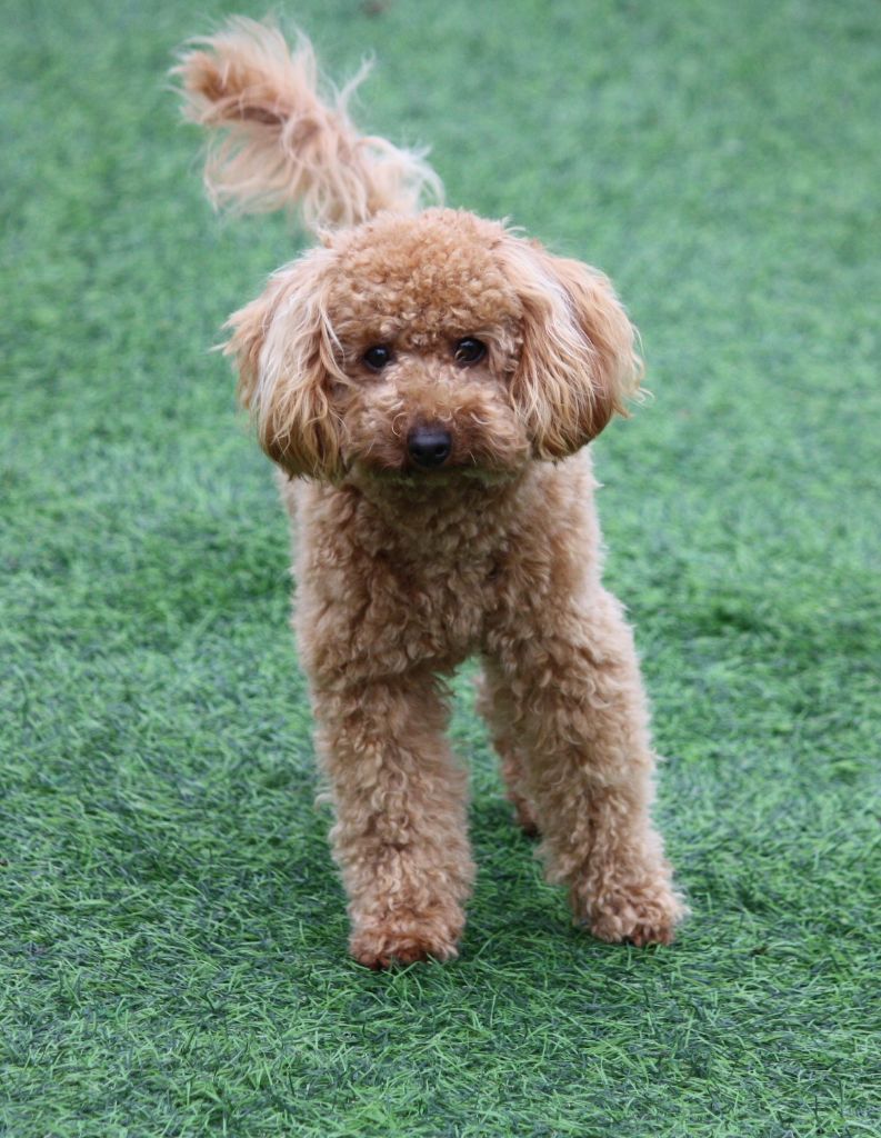 Publication : du mas d'aigret Auteur : masdaigret