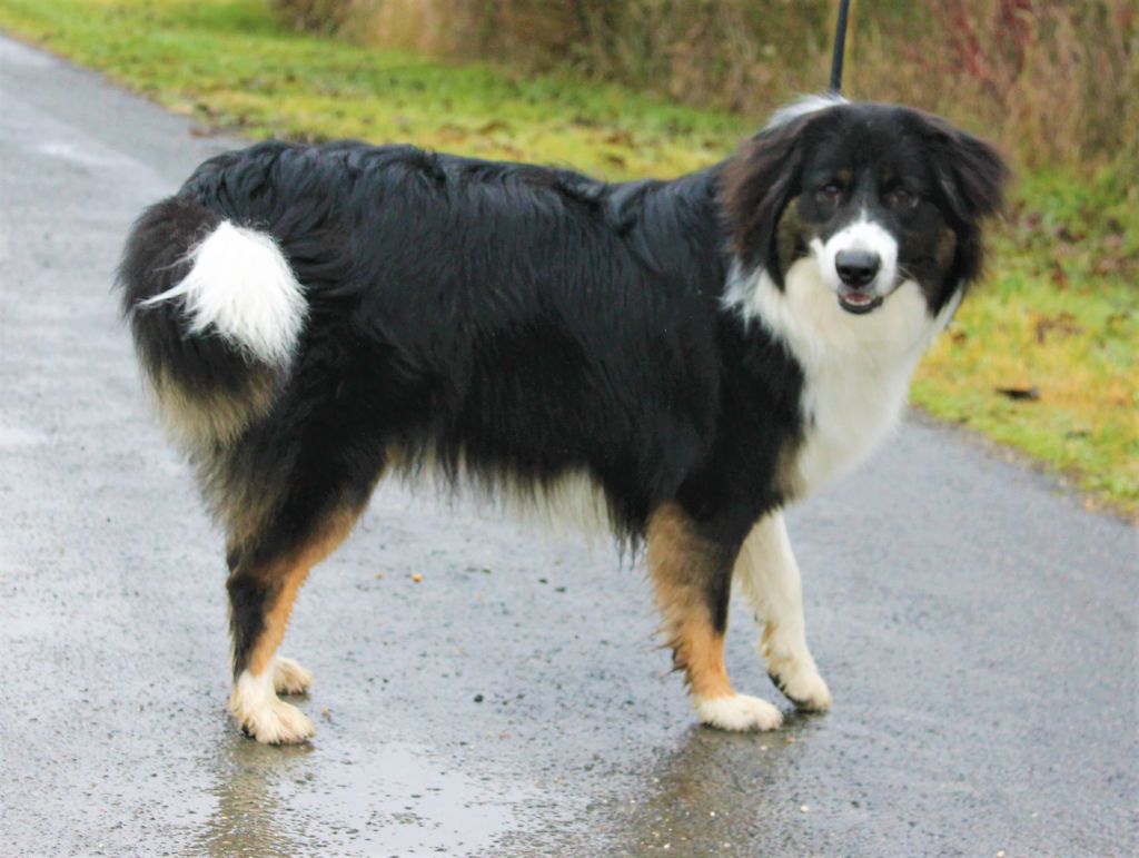 Publication : des Anges de Cedahkiss