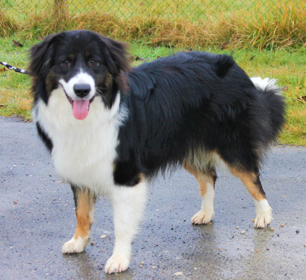 Publication : des Anges de Cedahkiss