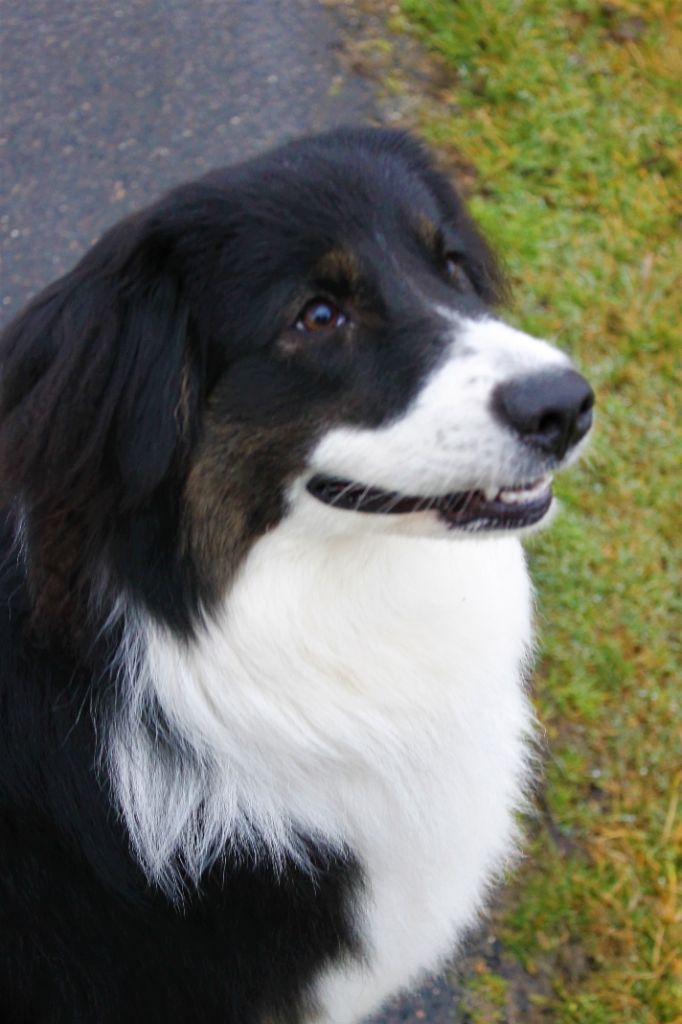 Publication : des Anges de Cedahkiss