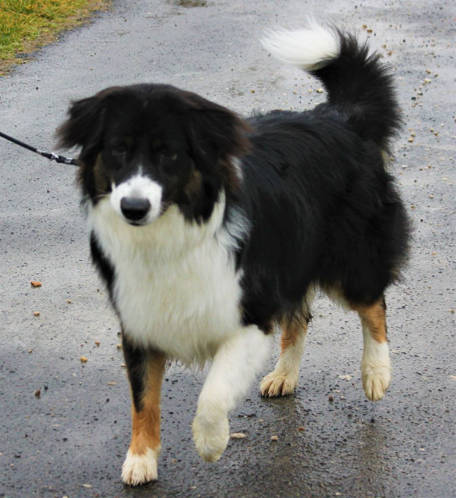 Publication : des Anges de Cedahkiss