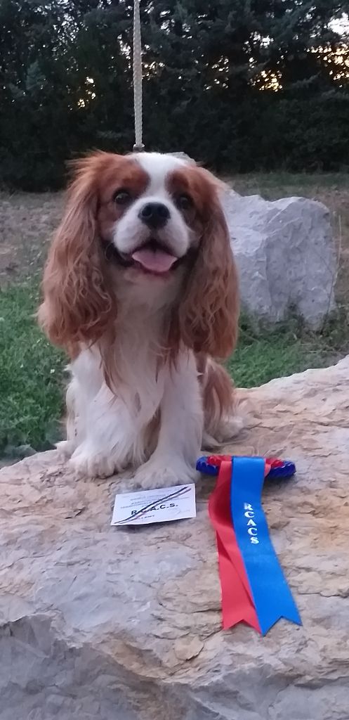 Publication : Des Hauts De La Chaume