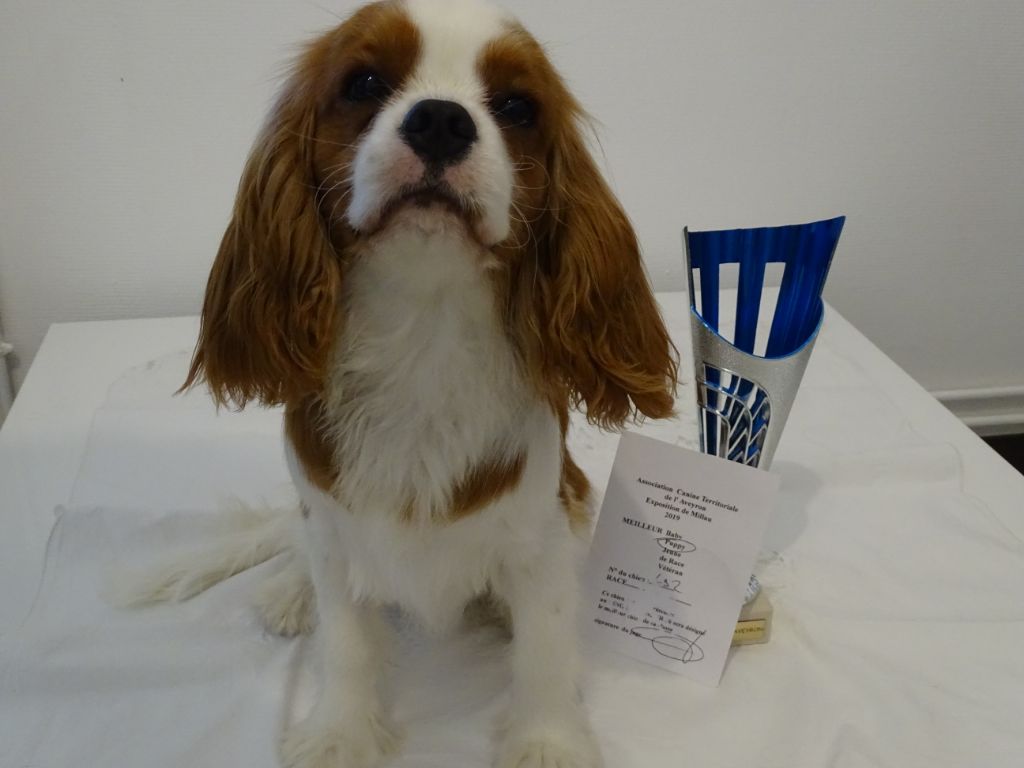 Publication : Des Hauts De La Chaume