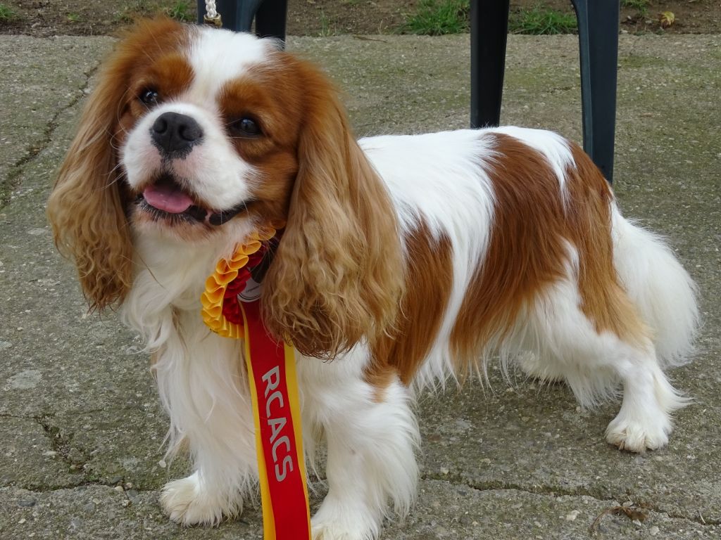 Publication : Des Hauts De La Chaume