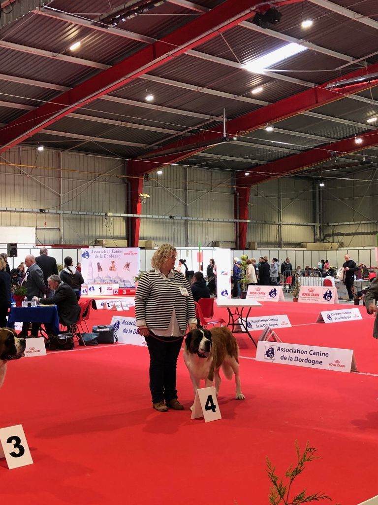 Naïs Des Grosses Truffes Du Périgord - 4ème Très bon
