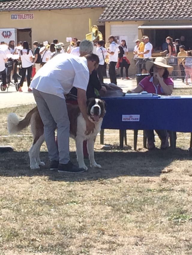 Naïs Des Grosses Truffes Du Périgord - 1ère Très bon