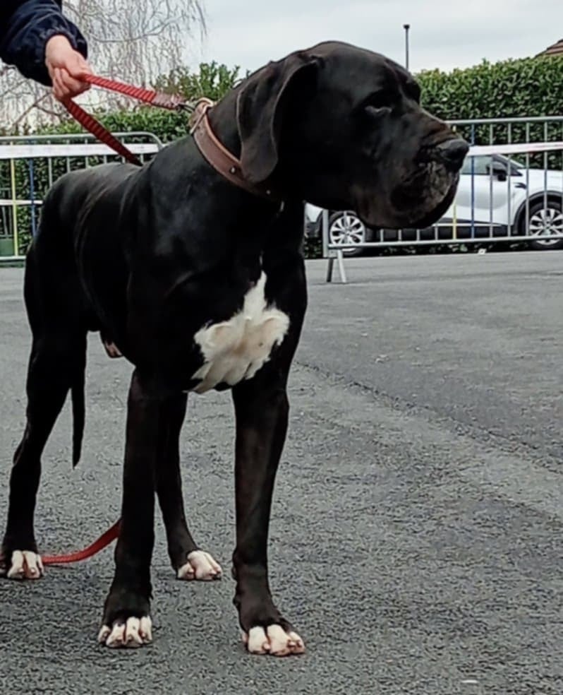 Umback Des Gardiens De Prailles