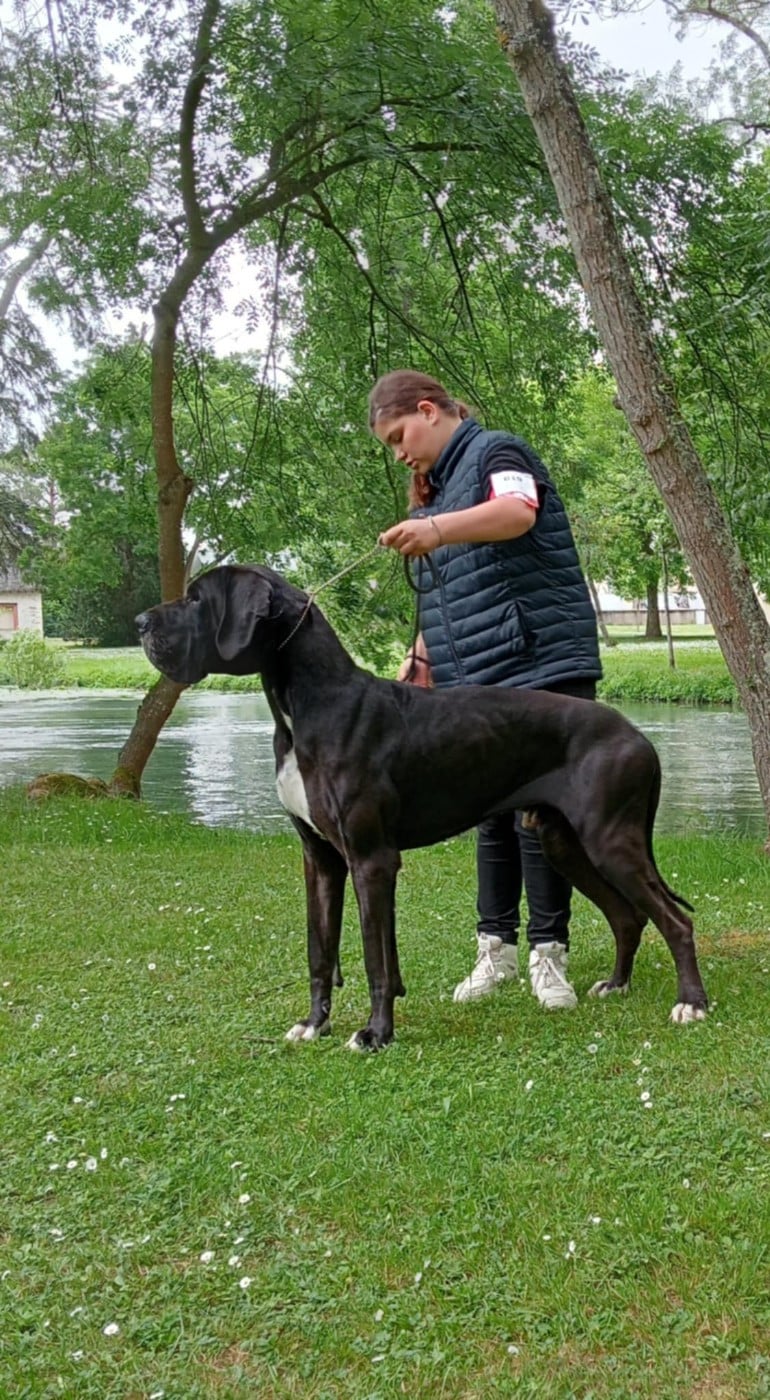 Umback Des Gardiens De Prailles