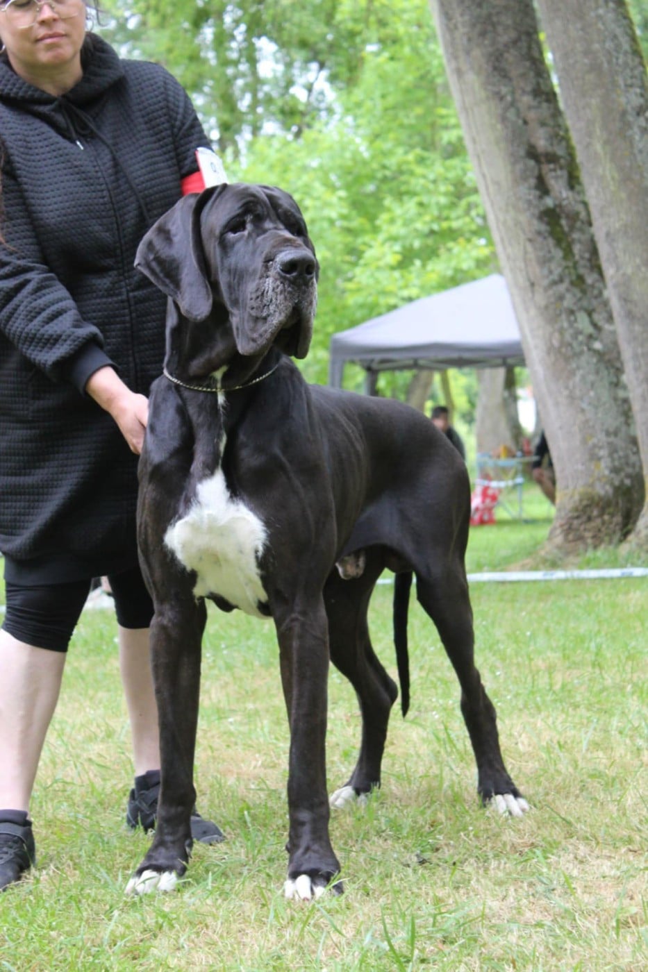 Umback Des Gardiens De Prailles