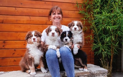 Du Moulin Des Garrigues