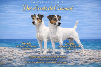 Des Arrêts De Cremont