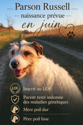 Des Arrêts De Cremont
