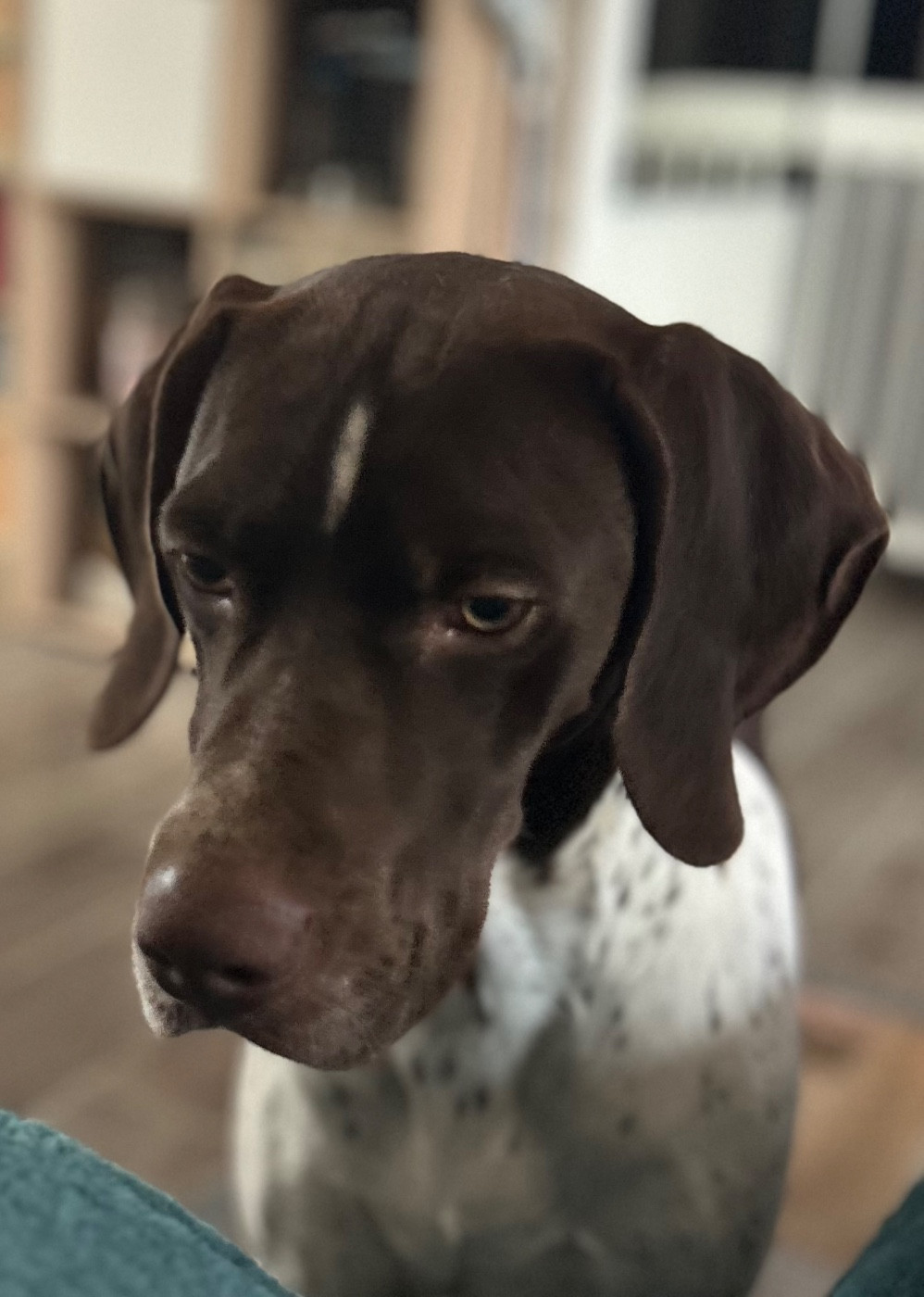 Vipe Des Anges Seris