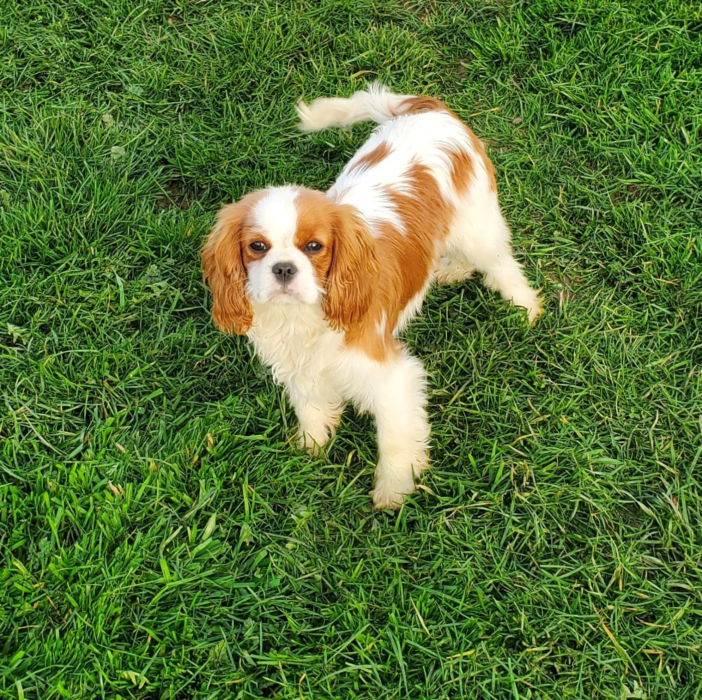 appy de la maison du ryez