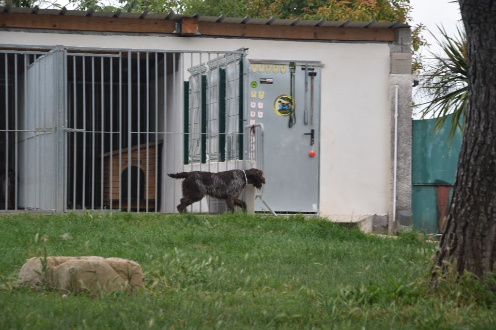 Publication : Du Mas Des Onglous Auteur : Vidal Martine