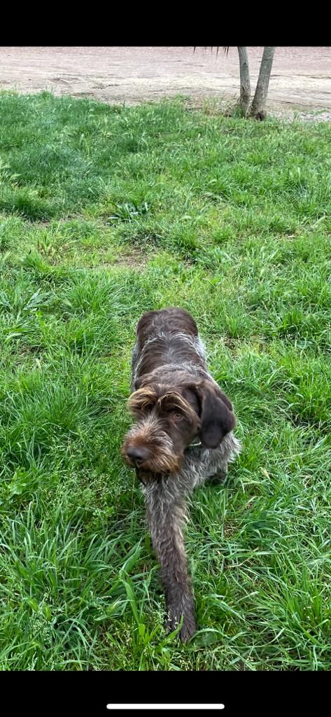 Publication : Du Mas Des Onglous Auteur : Vidal Martine