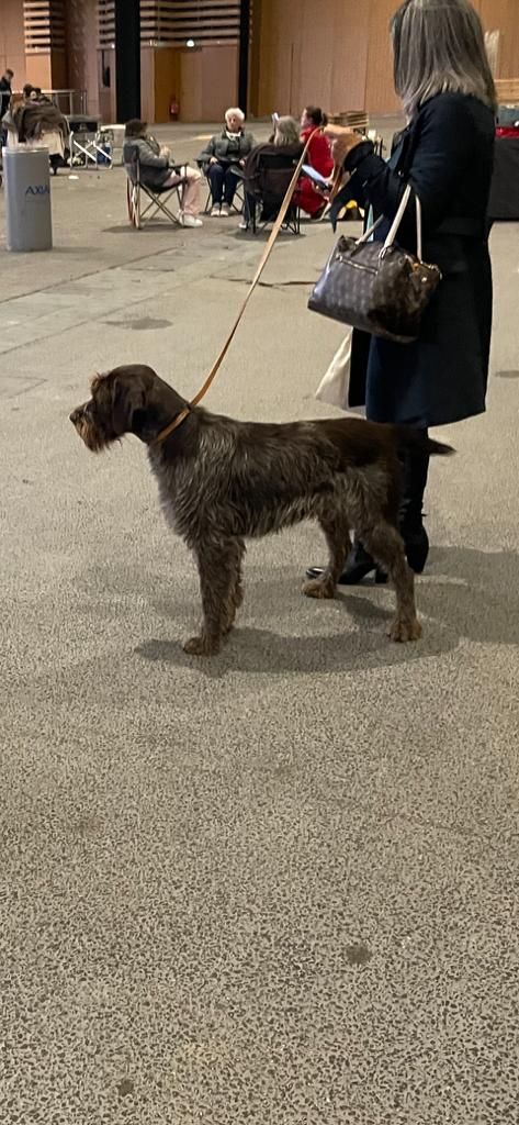 Publication : Du Mas Des Onglous Auteur : Vidal Martine