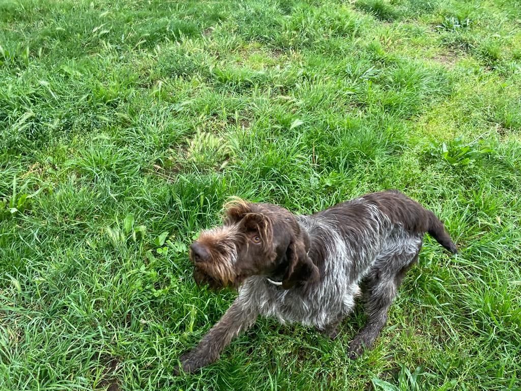 Publication : Du Mas Des Onglous Auteur : Vidal Martine