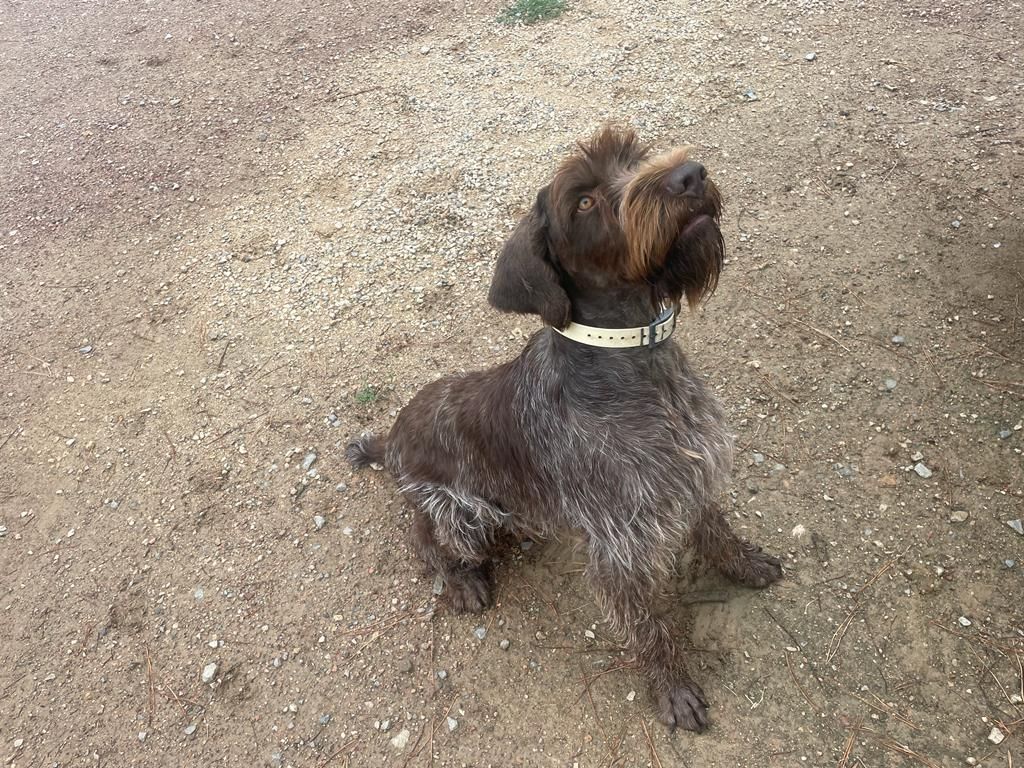 Publication : Du Mas Des Onglous Auteur : Vidal Martine