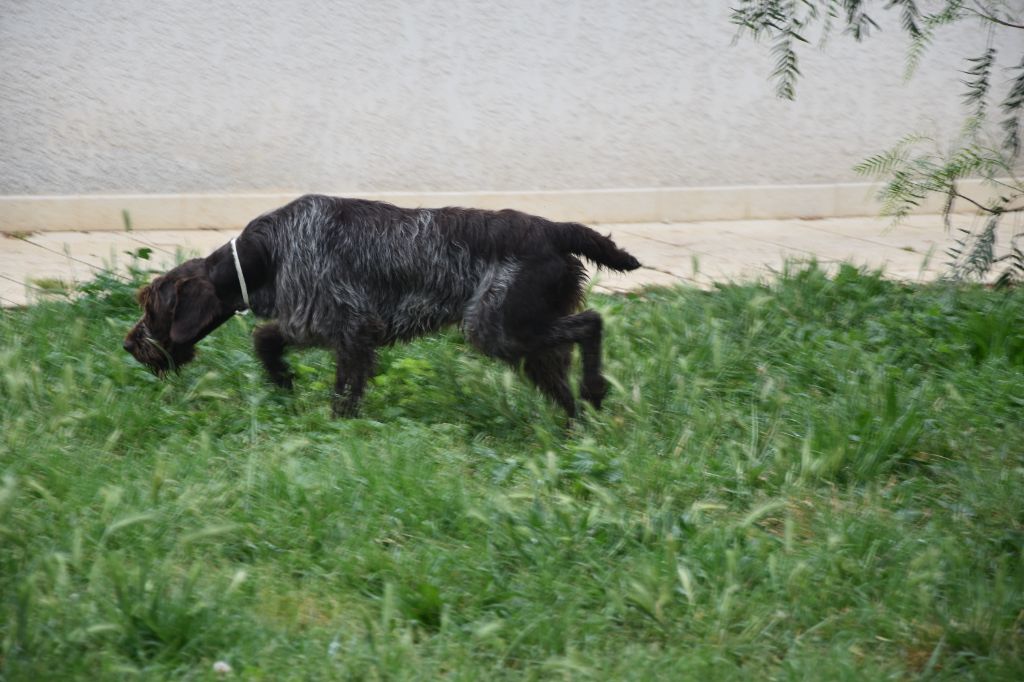 Publication : Du Mas Des Onglous Auteur : Vidal Martine