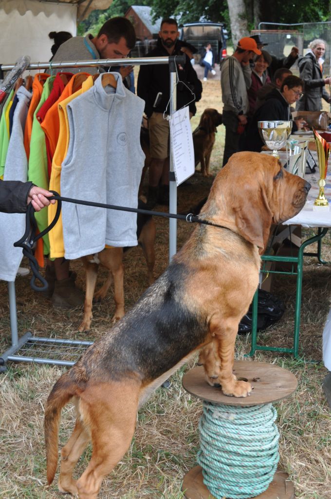 Vaïana Du Massif De Sourroque