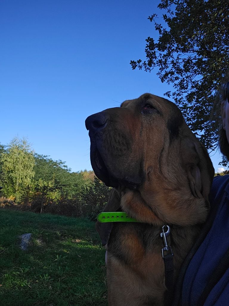 Vacqueyras Du Logis Des Molieres