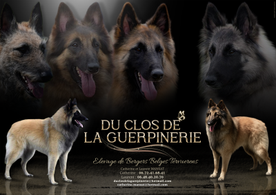 Du Clos De La Guerpinerie