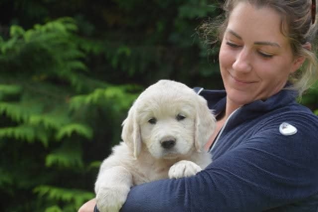 Peace And Love Golden Apple pie