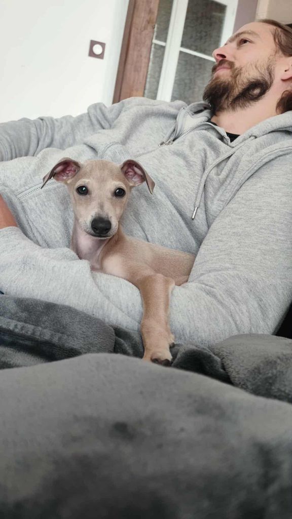 Anakin des princes de minos