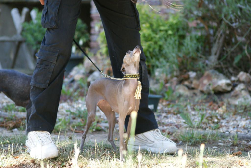 Suzy Des Petites Bouilles D’Eole