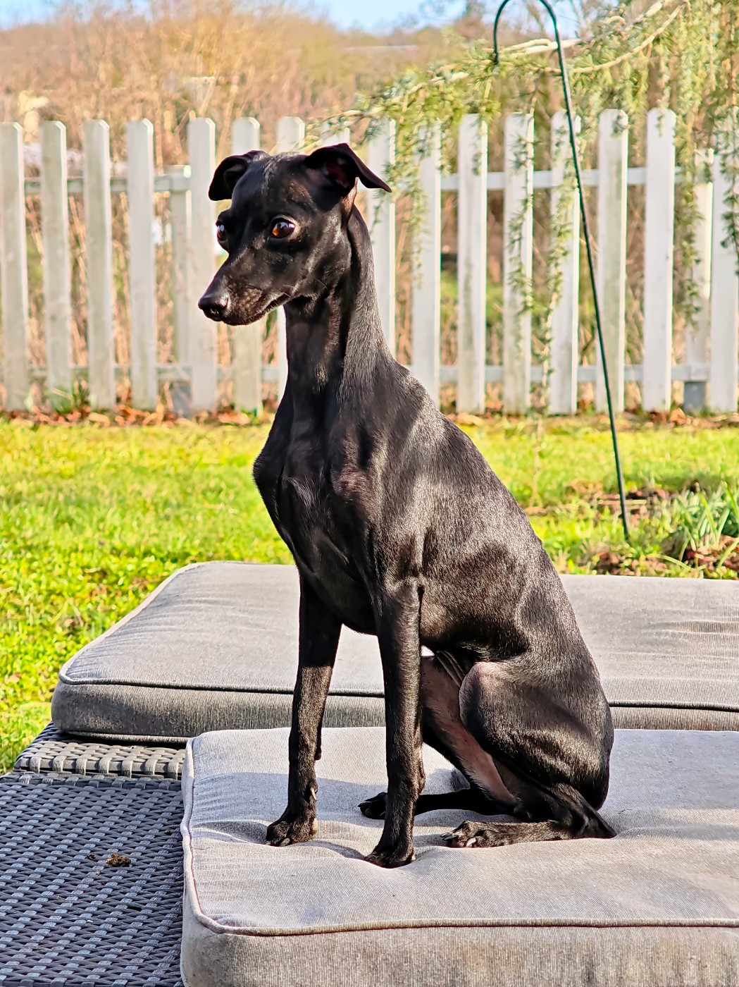 Amore Di Fanny Du Pays Du Valois