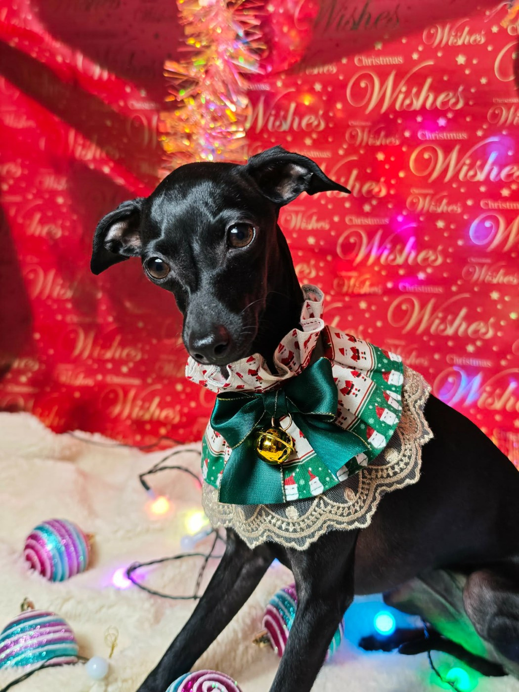 Amore Di Fanny Du Pays Du Valois