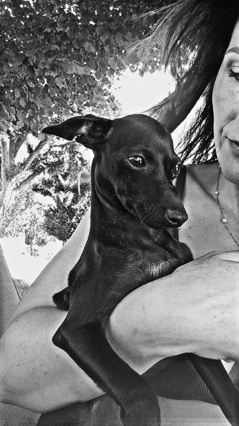 Amore Di Fanny Du Pays Du Valois